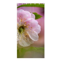 Single Almond Flower Shower Curtain 36  X 72  (stall)  by FunnyCow