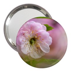 Single Almond Flower 3  Handbag Mirrors by FunnyCow