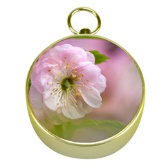 Single Almond Flower Gold Compasses by FunnyCow