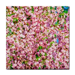 Almond Tree In Bloom Tile Coasters by FunnyCow