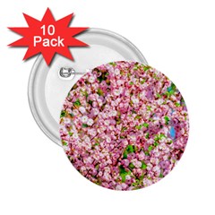 Almond Tree In Bloom 2 25  Buttons (10 Pack)  by FunnyCow