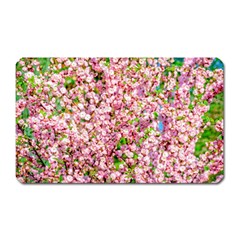 Almond Tree In Bloom Magnet (rectangular) by FunnyCow