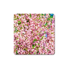 Almond Tree In Bloom Square Magnet