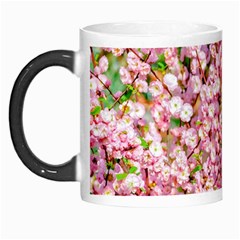 Almond Tree In Bloom Morph Mugs by FunnyCow