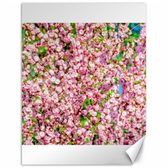 Almond Tree In Bloom Canvas 18  X 24   by FunnyCow