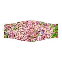 Almond Tree In Bloom Stretchable Headband by FunnyCow