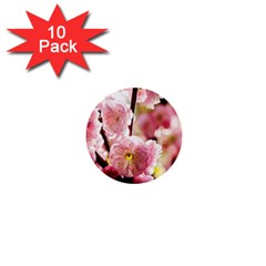 Blooming Almond At Sunset 1  Mini Buttons (10 Pack)  by FunnyCow