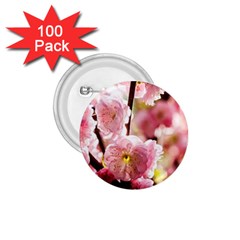 Blooming Almond At Sunset 1 75  Buttons (100 Pack)  by FunnyCow