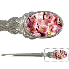Blooming Almond At Sunset Letter Opener by FunnyCow