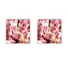 Blooming Almond At Sunset Cufflinks (square) by FunnyCow