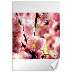 Blooming Almond At Sunset Canvas 12  X 18   by FunnyCow