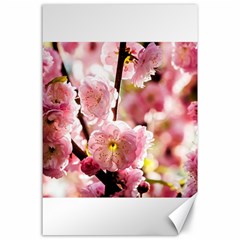 Blooming Almond At Sunset Canvas 24  X 36  by FunnyCow