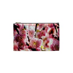 Blooming Almond At Sunset Cosmetic Bag (small) by FunnyCow