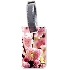 Blooming Almond At Sunset Luggage Tags (one Side)  by FunnyCow