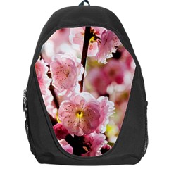 Blooming Almond At Sunset Backpack Bag by FunnyCow