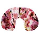 Blooming Almond At Sunset Travel Neck Pillows Front