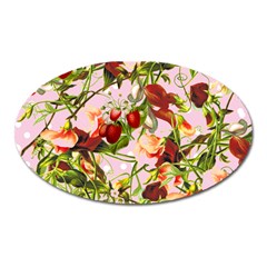 Fruit Blossom Pink Oval Magnet by snowwhitegirl