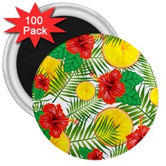 Orange Tropics 3  Magnets (100 Pack)