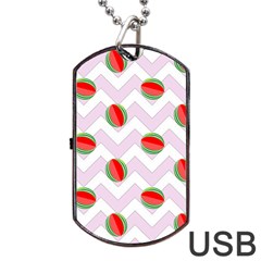 Watermelon Chevron Dog Tag Usb Flash (two Sides)