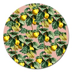 Fruit Branches Magnet 5  (round)