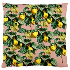 Fruit Branches Standard Flano Cushion Case (one Side)