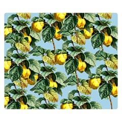 Fruit Branches Blue Double Sided Flano Blanket (small)  by snowwhitegirl