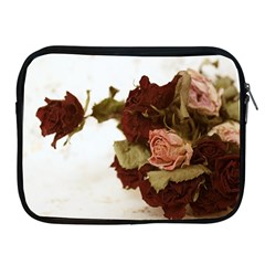 Shabby 1814373 960 720 Apple Ipad 2/3/4 Zipper Cases by vintage2030