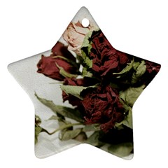 Roses 1802790 960 720 Ornament (star)