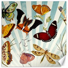 Butterfly 1064147 960 720 Canvas 12  X 12  by vintage2030