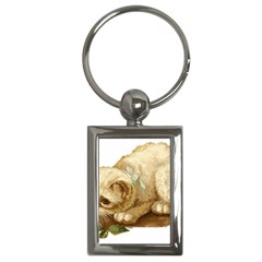 Cat 1827211 1920 Key Chains (rectangle)  by vintage2030