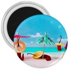 Red Chili Peppers On The Beach 3  Magnets by FunnyCow