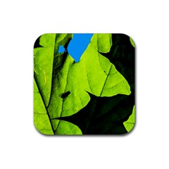 Window Of Opportunity Rubber Coaster (square)  by FunnyCow