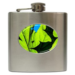 Window Of Opportunity Hip Flask (6 Oz) by FunnyCow