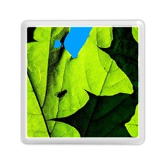 Window Of Opportunity Memory Card Reader (square) by FunnyCow