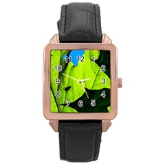 Window Of Opportunity Rose Gold Leather Watch  by FunnyCow