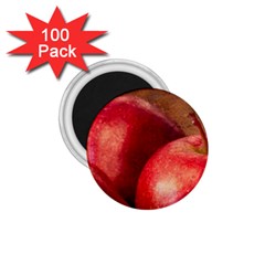 Three Red Apples 1 75  Magnets (100 Pack)  by FunnyCow