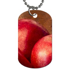 Three Red Apples Dog Tag (one Side) by FunnyCow