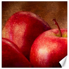 Three Red Apples Canvas 16  X 16  by FunnyCow