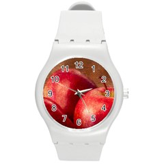 Three Red Apples Round Plastic Sport Watch (m) by FunnyCow