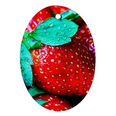 Red Strawberries Ornament (oval) by FunnyCow