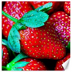 Red Strawberries Canvas 12  X 12  by FunnyCow