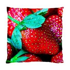 Red Strawberries Standard Cushion Case (one Side) by FunnyCow