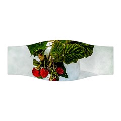 Red Raspberries In A Teacup Stretchable Headband by FunnyCow