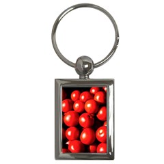 Pile Of Red Tomatoes Key Chains (rectangle)  by FunnyCow
