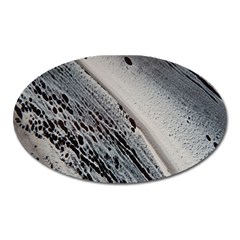 Black And White Oval Magnet by WILLBIRDWELL
