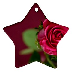 Rose 693152 1920 Ornament (star) by vintage2030