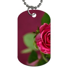 Rose 693152 1920 Dog Tag (two Sides) by vintage2030