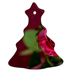 Rose 693152 1920 Ornament (christmas Tree)  by vintage2030