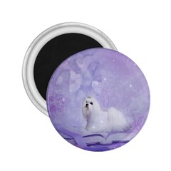 Cute Little Maltese, Soft Colors 2 25  Magnets by FantasyWorld7