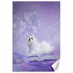 Cute Little Maltese, Soft Colors Canvas 20  X 30  by FantasyWorld7